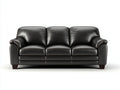 Canapé 3 places - Cuir - 211 x 91 x 88 cm - Noir - Style contemporain classique